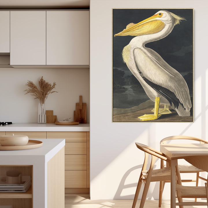 American White Pelican - Framed Canvas Wall Art - John James Audubon - Birds of America Print - FFp-2495-N-L