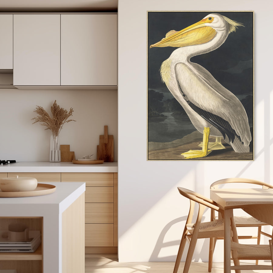 American White Pelican - Framed Canvas Wall Art - John James Audubon - Birds of America Print