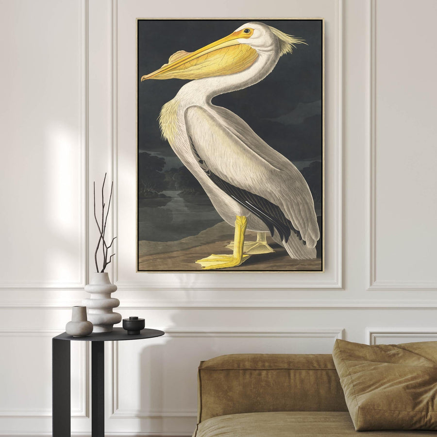 American White Pelican - Framed Canvas Wall Art - John James Audubon - Birds of America Print