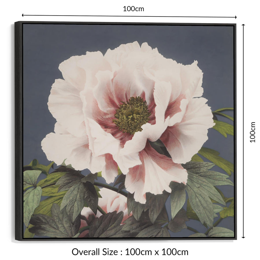 Japanese Pink Floral Wall Art Framed Canvas Print by Ogawa Kazumasa - 100cm x 100cm