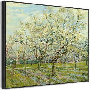 Large Green Vincent Van Gogh Framed Canvas Print of White Orchard Painting