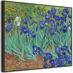 Large Vincent Van Gogh Wall Art Framed Canvas Print of Irises Floral Painting