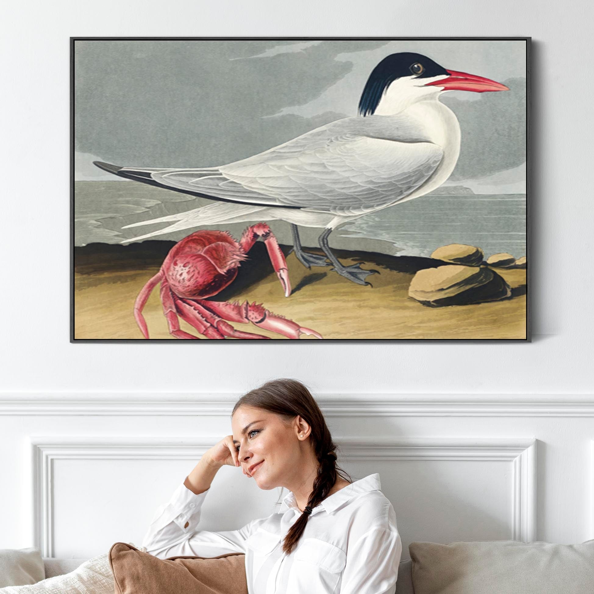 Cayenne Tern Framed Canvas Wall Art John James Audubon Birds of