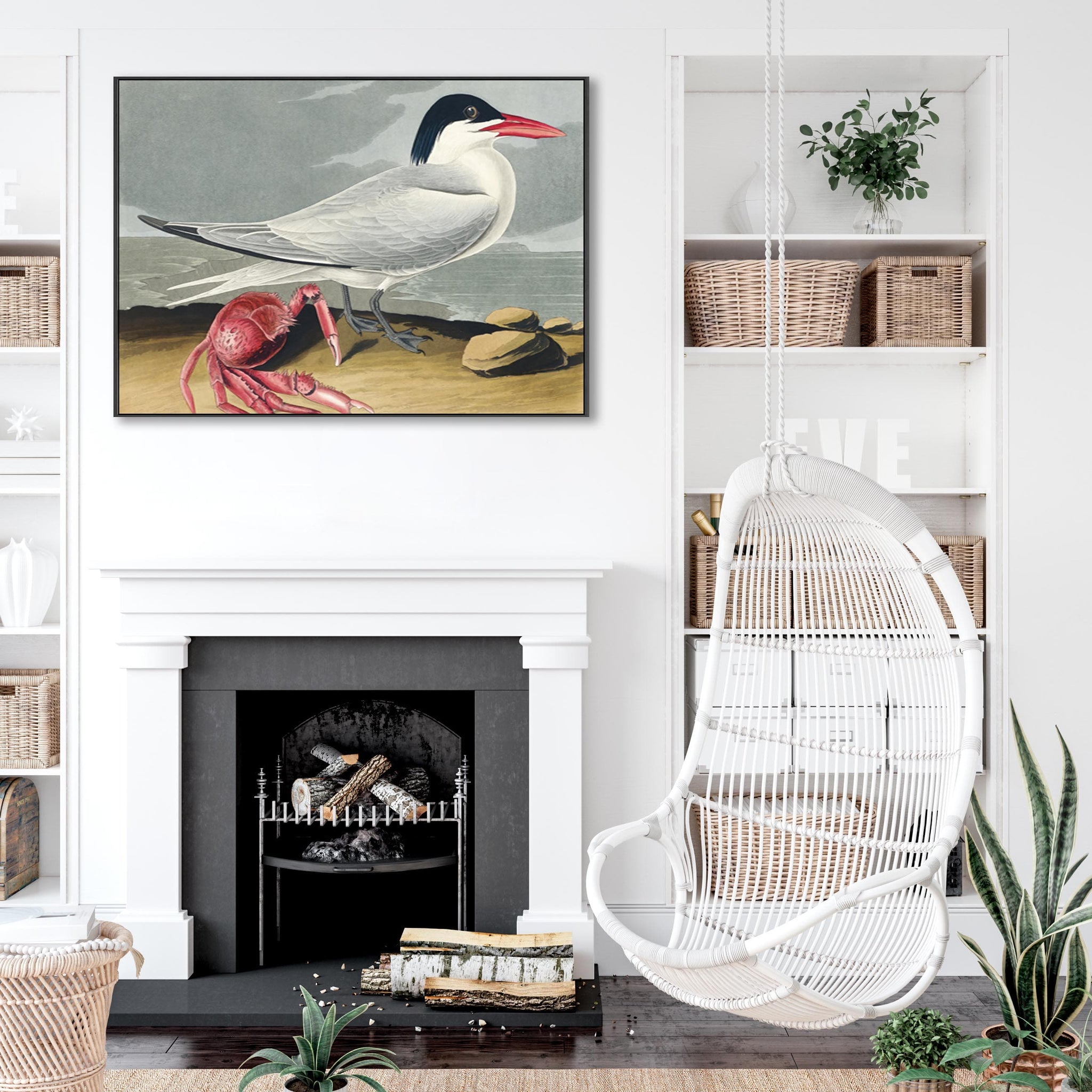 Cayenne Tern Framed Canvas Wall Art John James Audubon Birds of