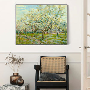 Large Green Vincent Van Gogh Framed Canvas Print of White Orchard Painting