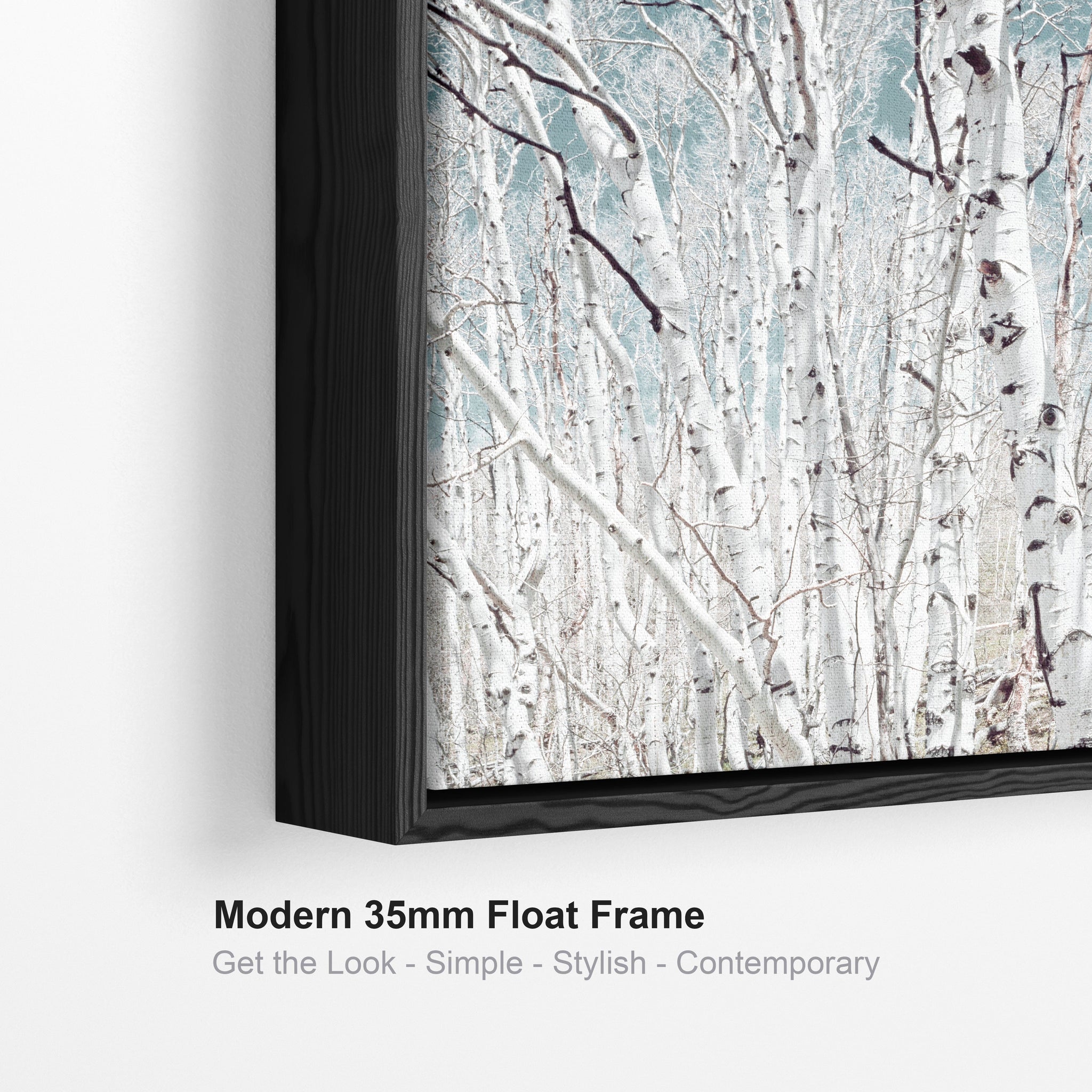 Large Silver Birch Trees Wall Art for Living Room - Framed Canvas