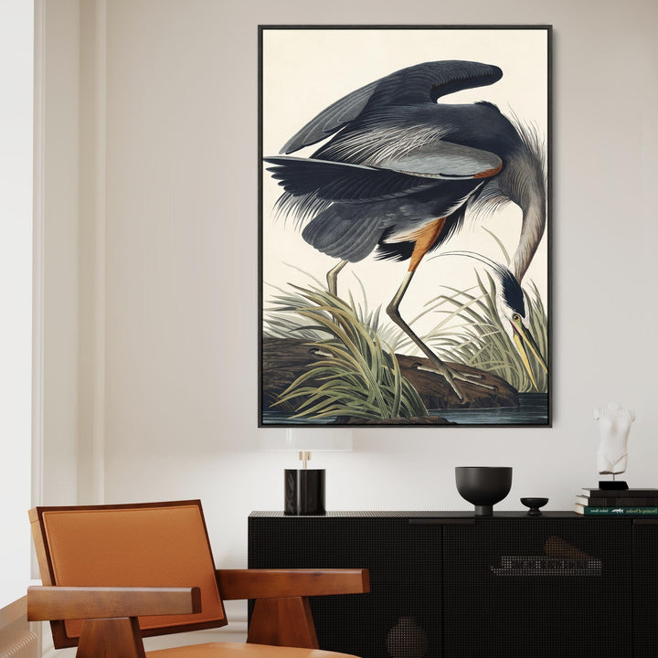 Great Blue Heron - Framed Canvas Wall Art - John James Audubon - Birds of America Print - FFp-2497-B-L