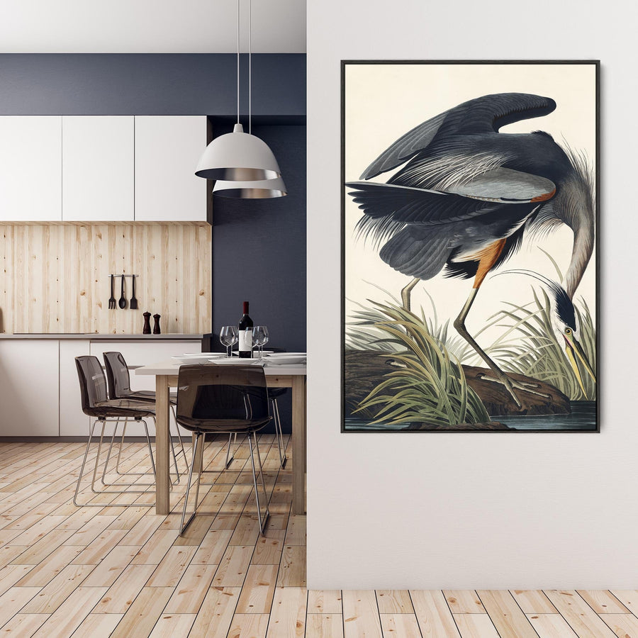 Great Blue Heron - Framed Canvas Wall Art - John James Audubon - Birds of America Print