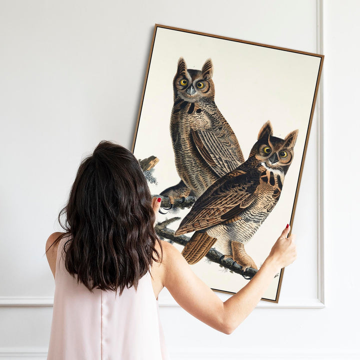 Great Horned Owl - Framed Canvas Wall Art - John James Audubon - Birds of America Print - FFp-2498-DW-L