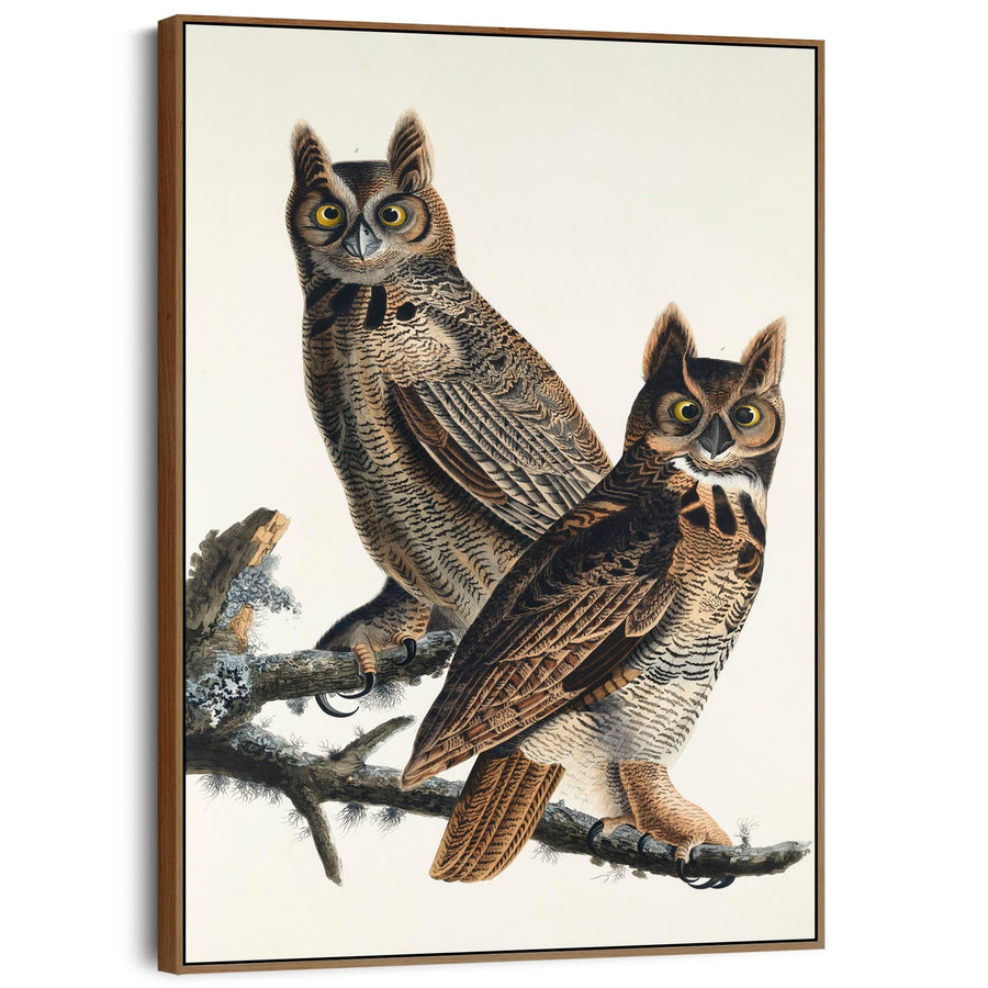 Great Horned Owl - Framed Canvas Wall Art - John James Audubon - Birds of America Print