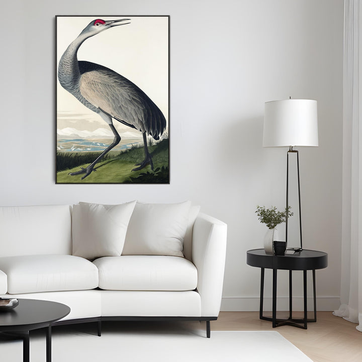 Hooping Crane - Framed Canvas Wall Art - John James Audubon - Birds of America Print - FFp-2500-B-L