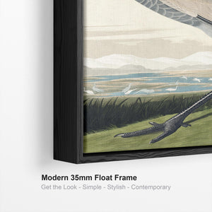 Hooping Crane - Framed Canvas Wall Art - John James Audubon - Birds of America Print