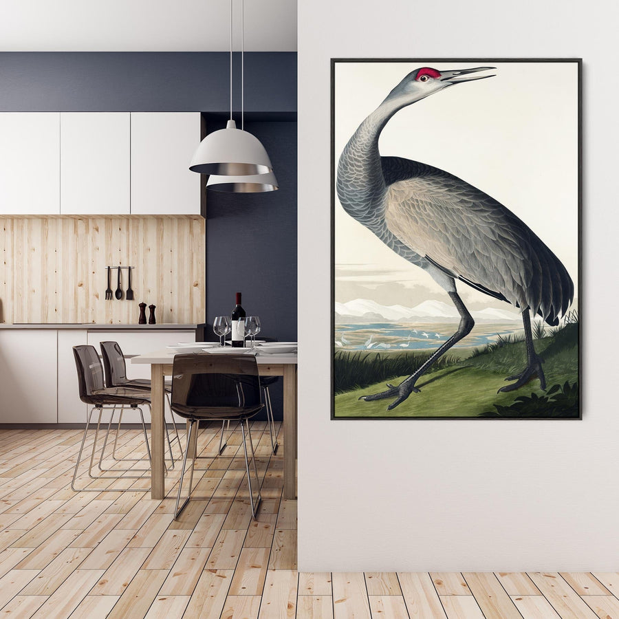 Hooping Crane - Framed Canvas Wall Art - John James Audubon - Birds of America Print