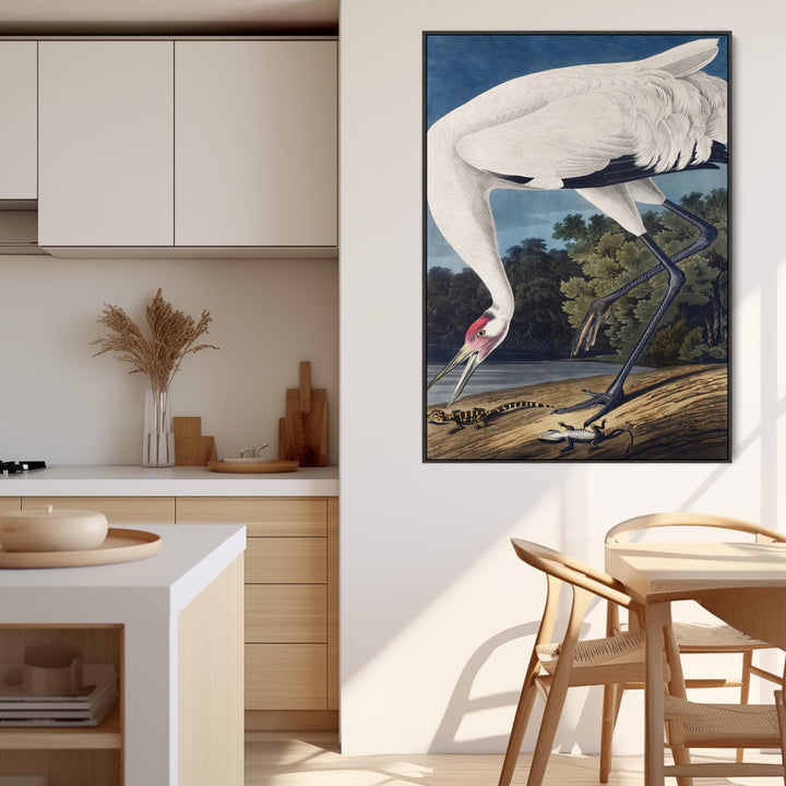 Hooping Crane Poised - Framed Canvas Wall Art - John James Audubon - Birds of America Print - FFp-2501-B-L