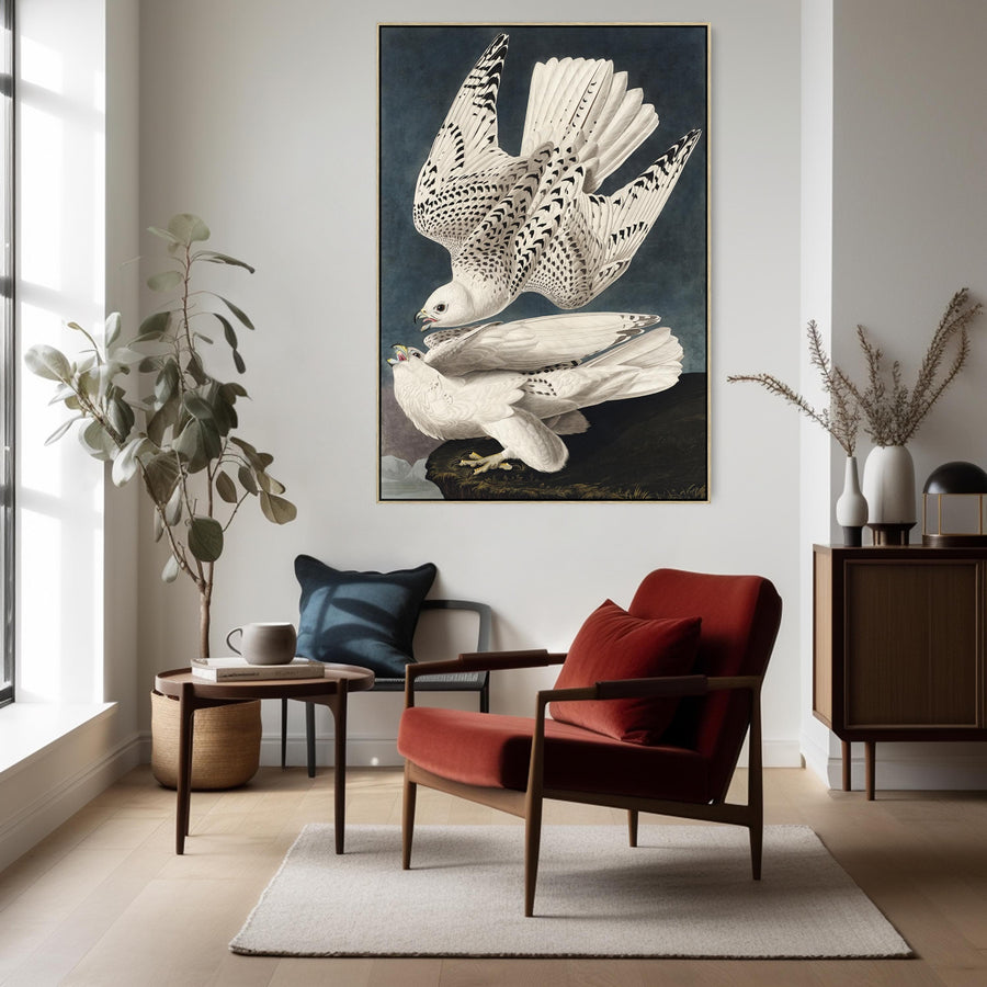 Iceland or Jer Falcon - Framed Canvas Wall Art - John James Audubon - Birds of America Print