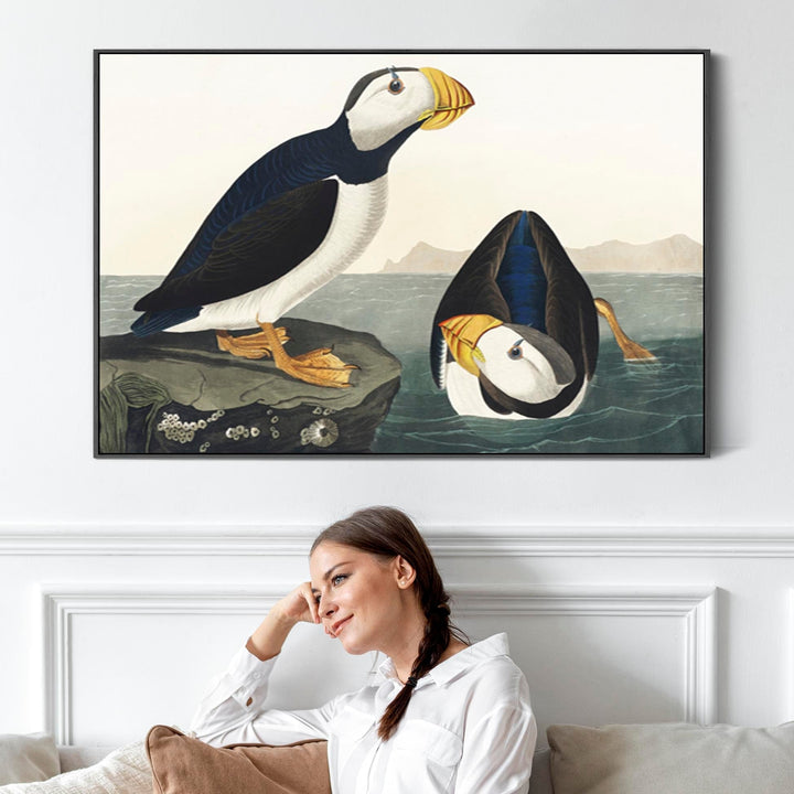 Large Billed Puffin - Framed Canvas Wall Art - John James Audubon - Birds of America Print - FF2490-B-L