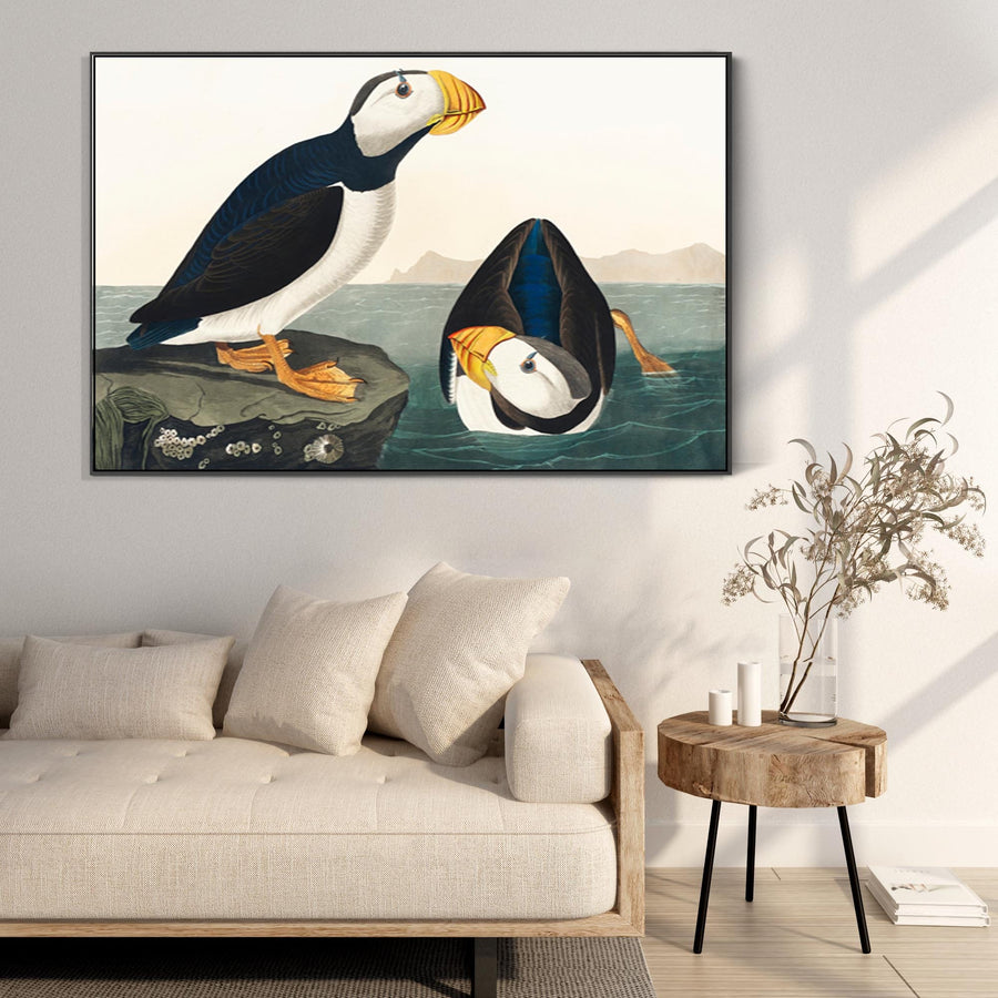 Large Billed Puffin - Framed Canvas Wall Art - John James Audubon - Birds of America Print