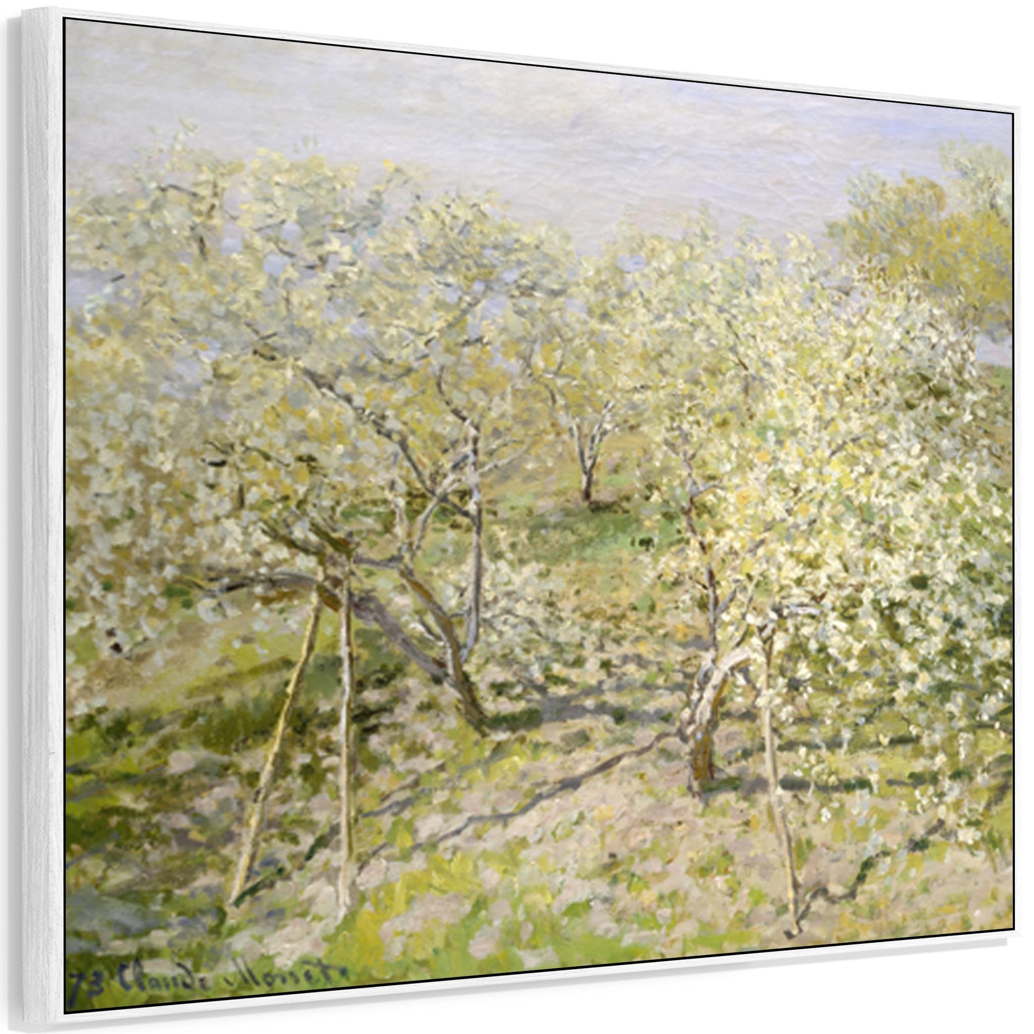 Large Claude Monet Framed Canvas Print of Spring Fruit Trees in Bloom