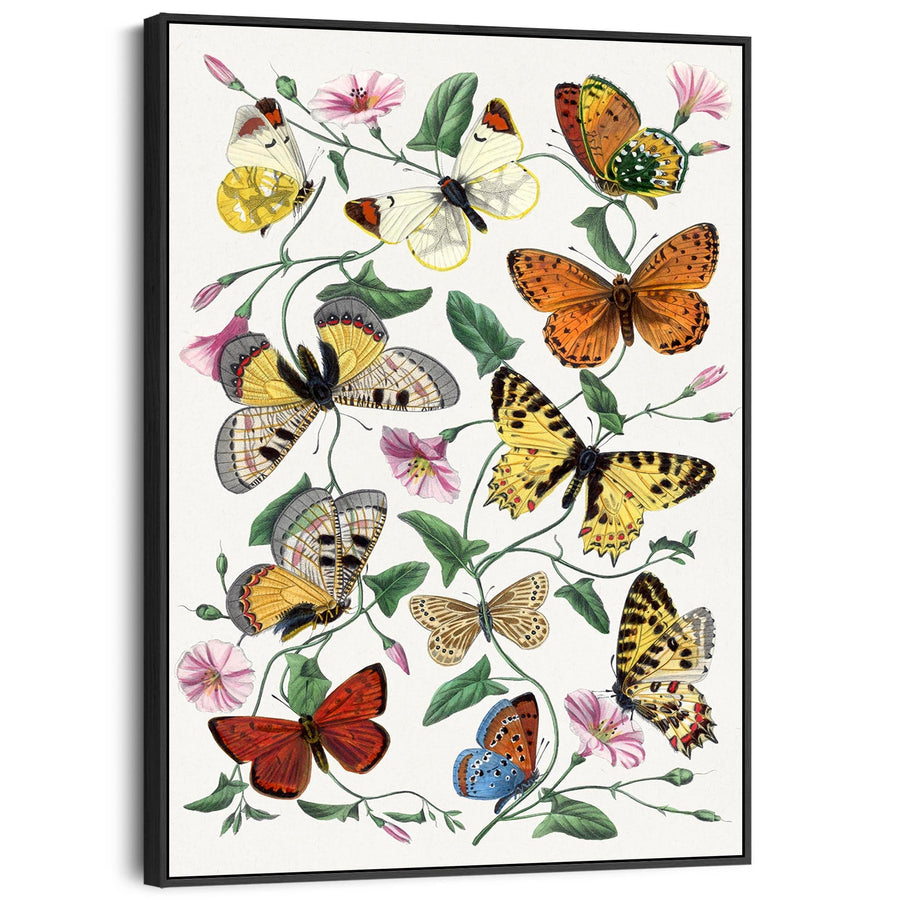 Large Bright Colourful Wall Art Framed Butterfly Multi Coloured Canvas Print