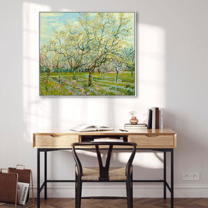 Large Green Vincent Van Gogh Framed Canvas Print of White Orchard Painting