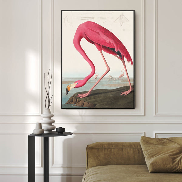 Pink Flamingo Wall Art Framed Canvas Print of Famous John Audubon Painting