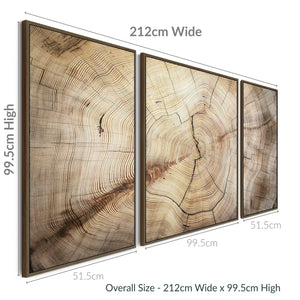 Extra Large Framed Canvas Wall Art Pictures for Living Room - Natural Beige Brown Tree Rings - Set of 3 - XXL 212cm Wide