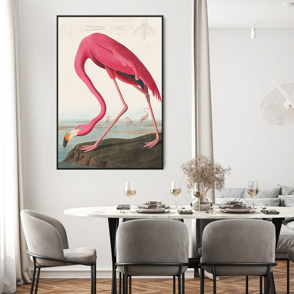 Pink Flamingo Wall Art Framed Canvas Print of Famous John Audubon Painting