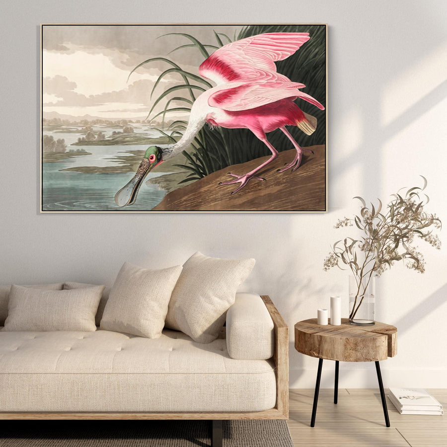 Roseate Spoonbill - Framed Canvas Wall Art - John James Audubon - Birds of America Print