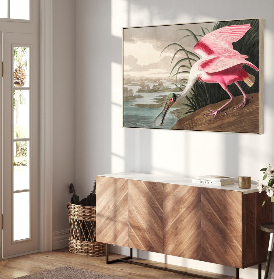 Roseate Spoonbill - Framed Canvas Wall Art - John James Audubon - Birds of America Print