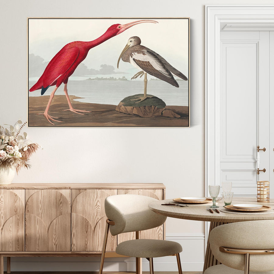 Scarlet Ibis - Framed Canvas Wall Art - John James Audubon - Birds of America Print