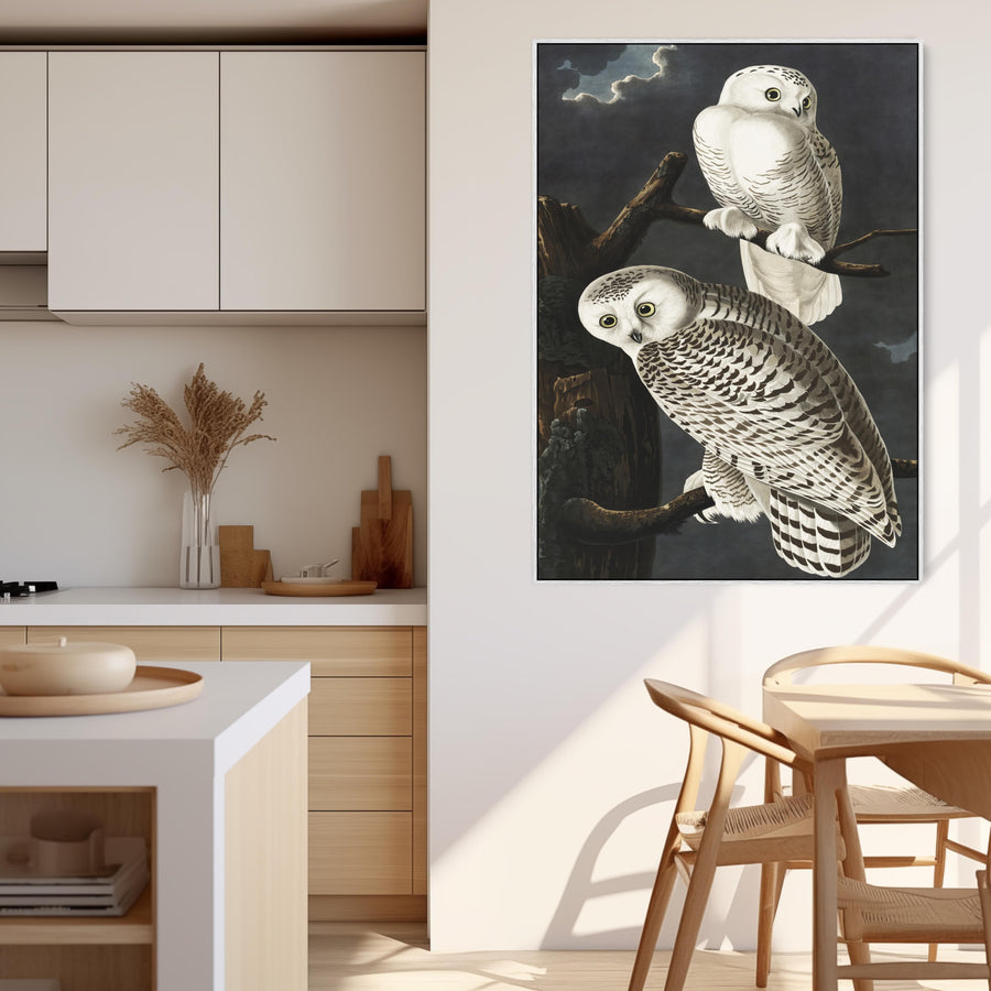 Snowy Owl - Framed Canvas Wall Art - John James Audubon - Birds of America Print