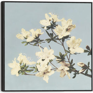 Vintage Japanese Blue Floral Wall Art Framed Canvas Print of Azaleas Flowers Painting - XL 100cm x 100cm