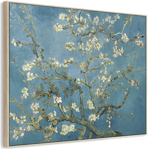 Large Vincent Van Gogh Wall Art Framed Canvas Print of Almond Blossom Floral Painting