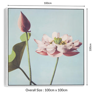 Japanese Pink Floral Wall Art Framed Canvas Print of Lotus Flowers by Ogawa Kazumasa - 100cm x 100cm