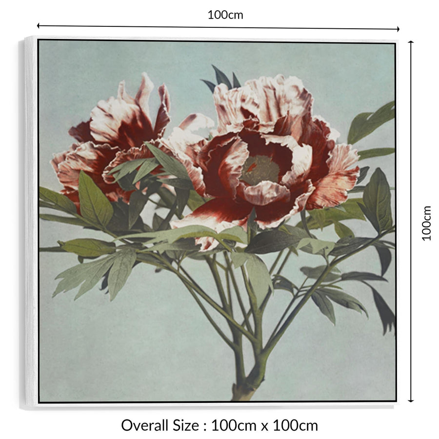 Vintage Japanese Pink Floral Wall Art Framed Canvas Print of Tree Peony Flowers Painting - 100cm x 100cm