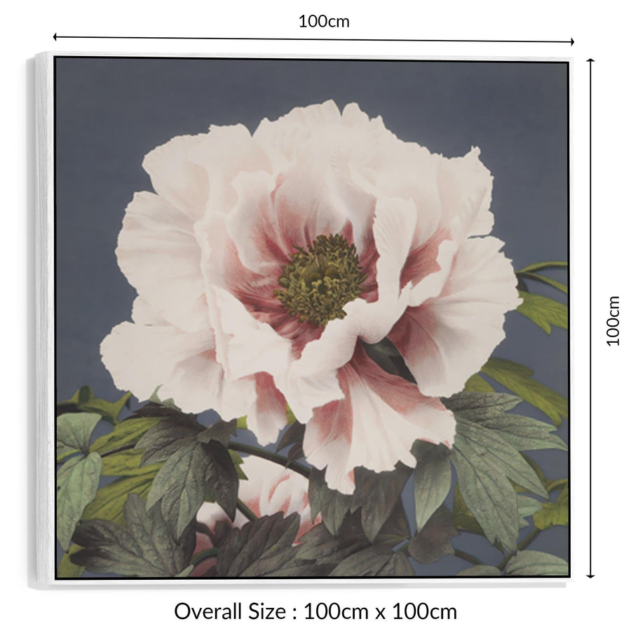 Japanese Pink Floral Wall Art Framed Canvas Print by Ogawa Kazumasa - 100cm x 100cm