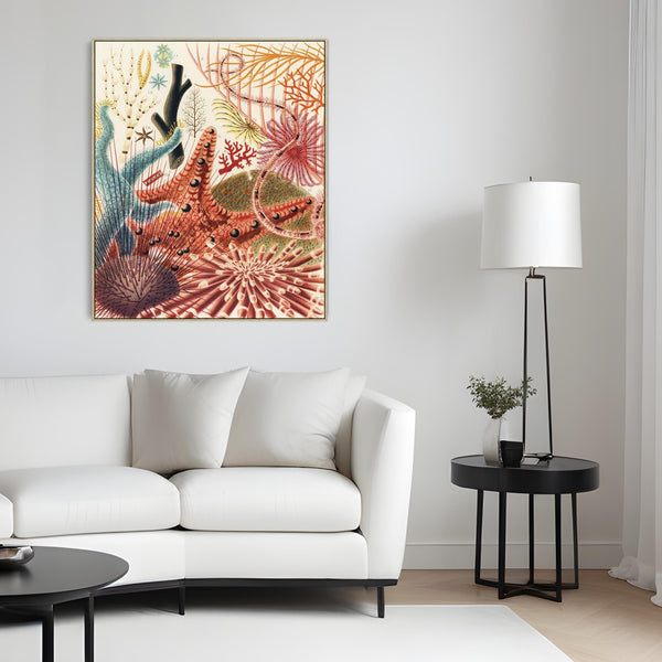 Sea Shells Barrier Reef by William Saville Kent Canvas Framed Wall Art Print