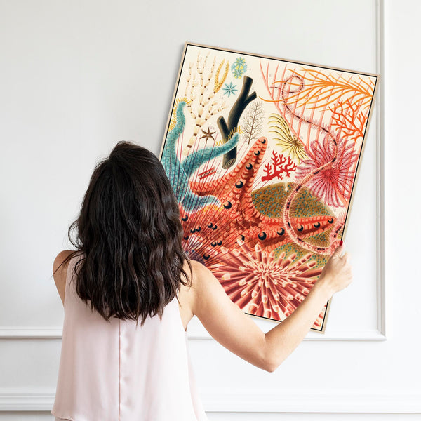 Sea Shells Barrier Reef by William Saville Kent Canvas Framed Wall Art Print