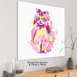 Pet Cat Canvas Art Pictures - Multi Coloured