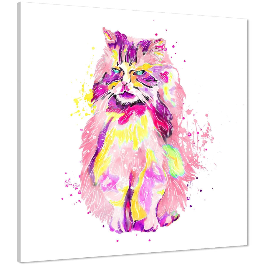 Pet Cat Canvas Art Pictures - Multi Coloured