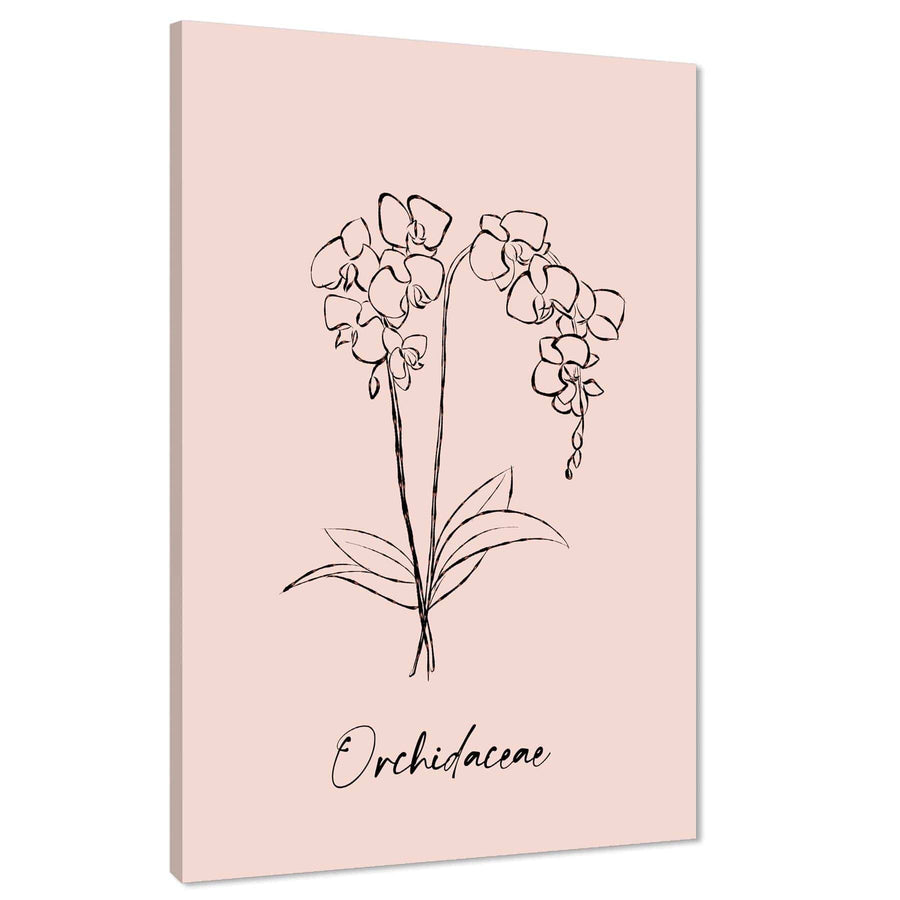 Pink Orchid Line Drawing Floral Canvas Art Prints