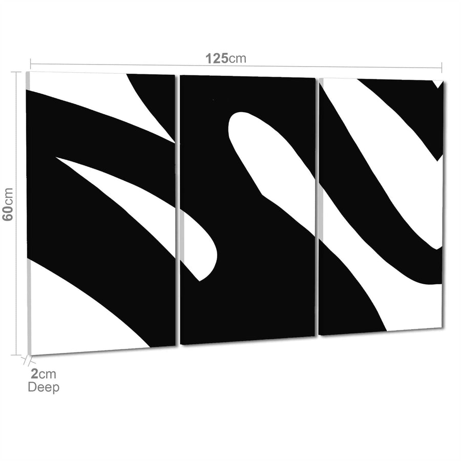 Abstract Black and White Swoosh Brushstrokes Canvas Art Prints