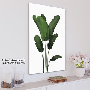 Green Leaves Floral Canvas Art Prints