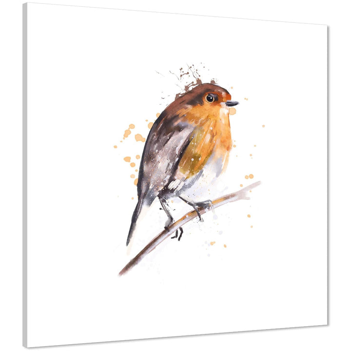 Robin Red Breast Canvas Art Pictures - Orange Brown - 1s1010S