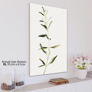 Green Olive Leaves Floral Canvas Art Pictures