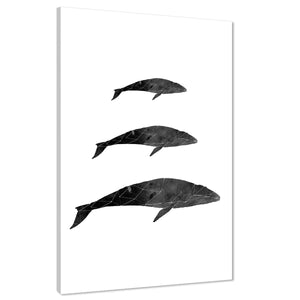 Blue Whale Canvas Art Pictures - Black and White