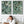 Pair Abstract Framed Canvases - Jackson Pollock Style Green
