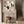 Large Square Brown Cream Framed Canvas Artwork - Oak & Ivory