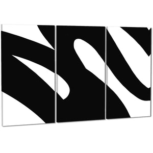 Abstract Black and White Swoosh Brushstrokes Canvas Art Prints