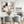 Large Dining Room Framed Artwork on Canvas - Stone Oak Earth